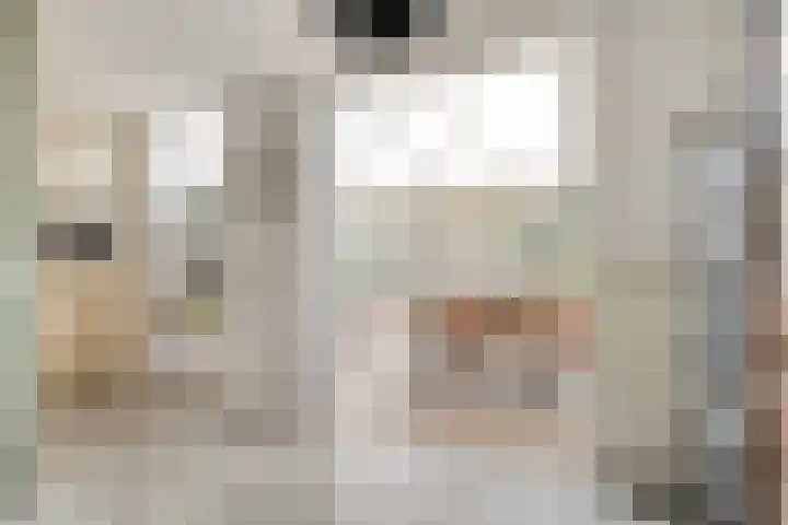 Dollarhof 35 Valkenswaard thumbnail 8