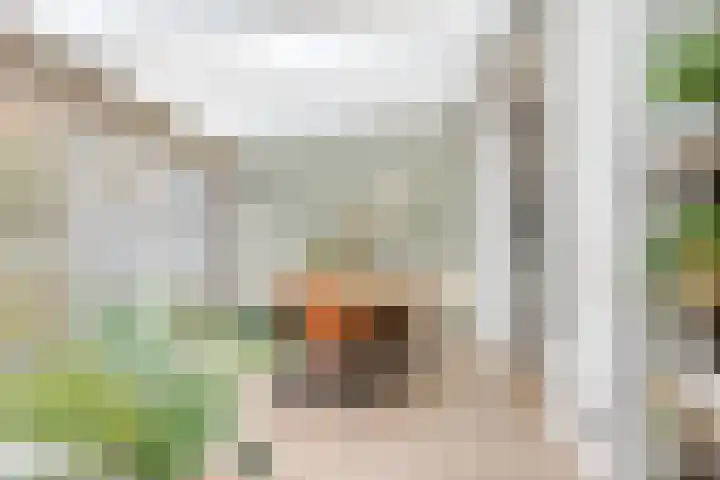 Dollarhof 35 Valkenswaard thumbnail 9