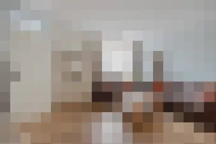 Dollarhof 39 Valkenswaard thumbnail 12