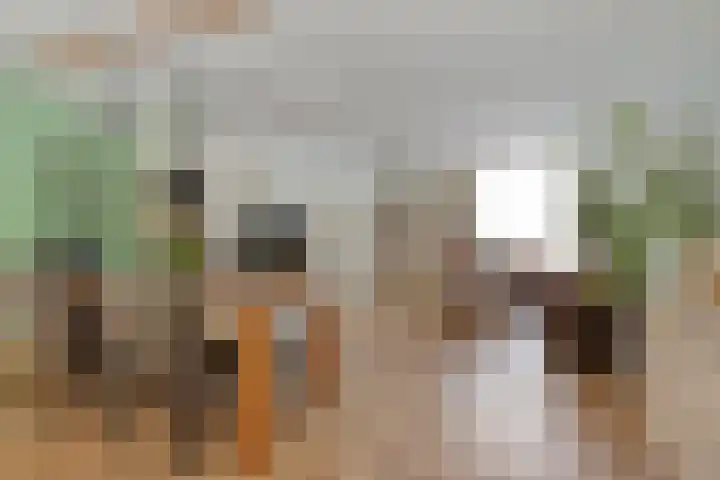 Dollarhof 39 Valkenswaard thumbnail 14