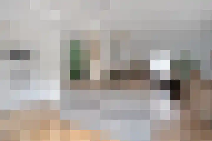 Dollarhof 39 Valkenswaard thumbnail 18