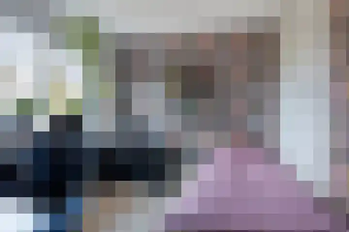Dollarhof 39 Valkenswaard thumbnail 27