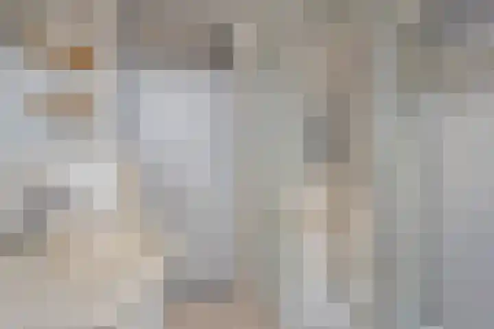 Dollarhof 39 Valkenswaard thumbnail 30
