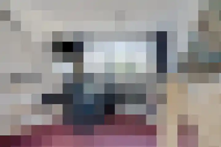 Dollarhof 39 Valkenswaard thumbnail 34