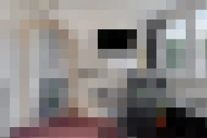 Dollarhof 39 Valkenswaard thumbnail 36