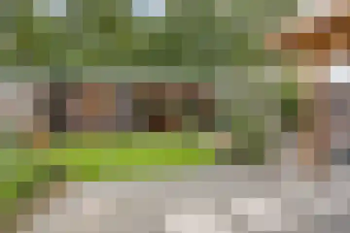 Dollarhof 39 Valkenswaard thumbnail 37