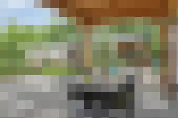 Dollarhof 39 Valkenswaard thumbnail 38