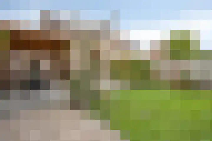 Dollarhof 39 Valkenswaard thumbnail 39