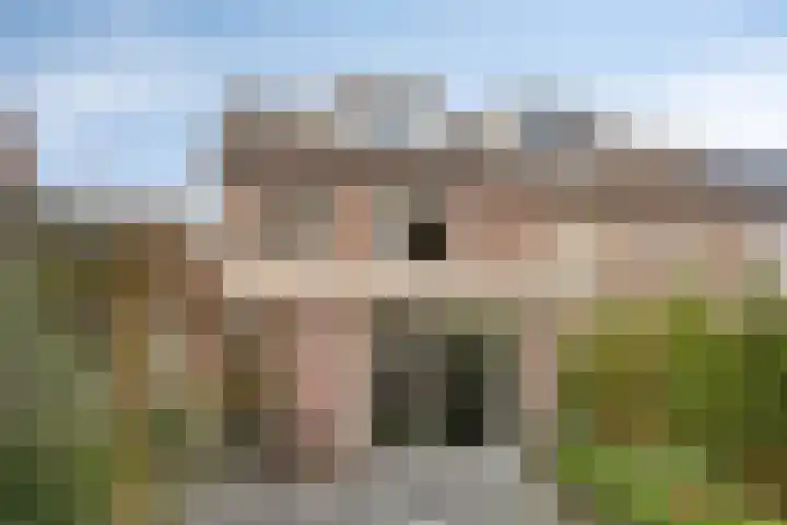Dollarhof 39 Valkenswaard thumbnail 40