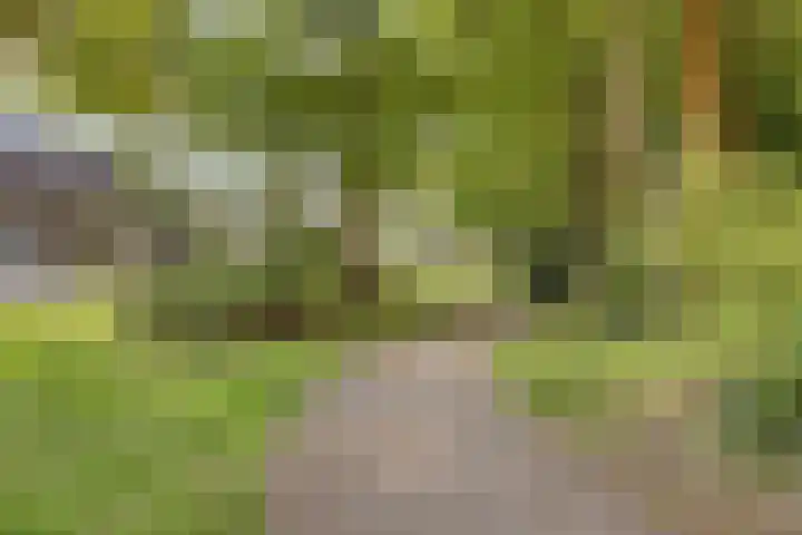 Dollarhof 39 Valkenswaard thumbnail 42