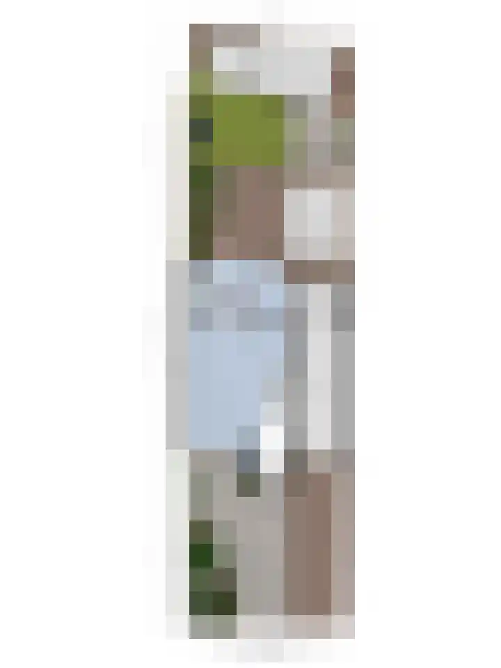 Dollarhof 39 Valkenswaard thumbnail 43