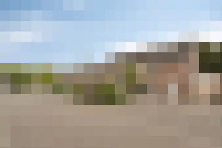 Dollarhof 39 Valkenswaard thumbnail 7