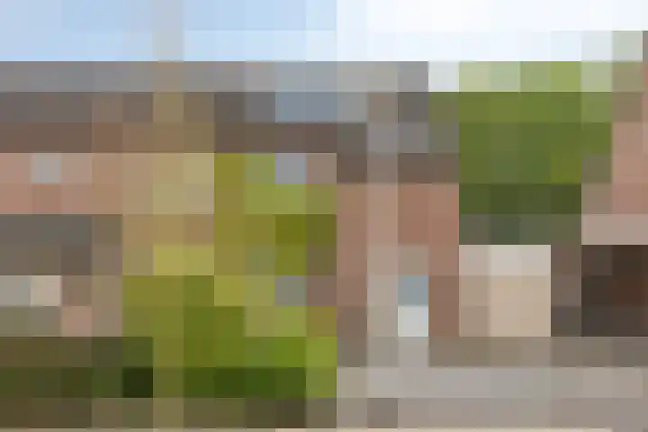Dollarhof 39 Valkenswaard thumbnail 8