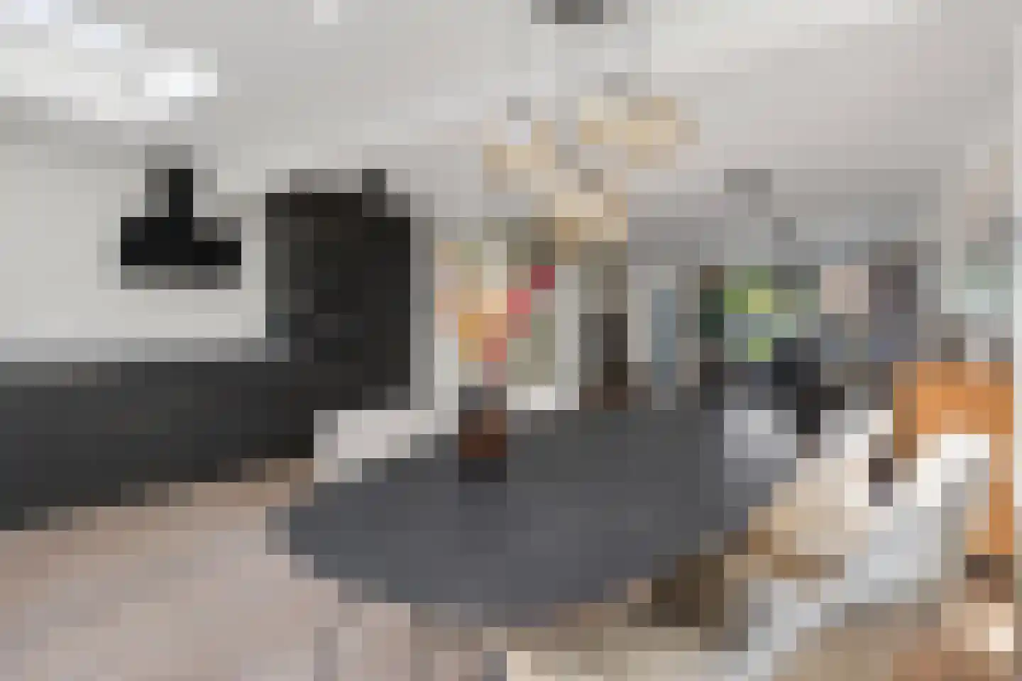 Dollarhof 5 Valkenswaard thumbnail 15