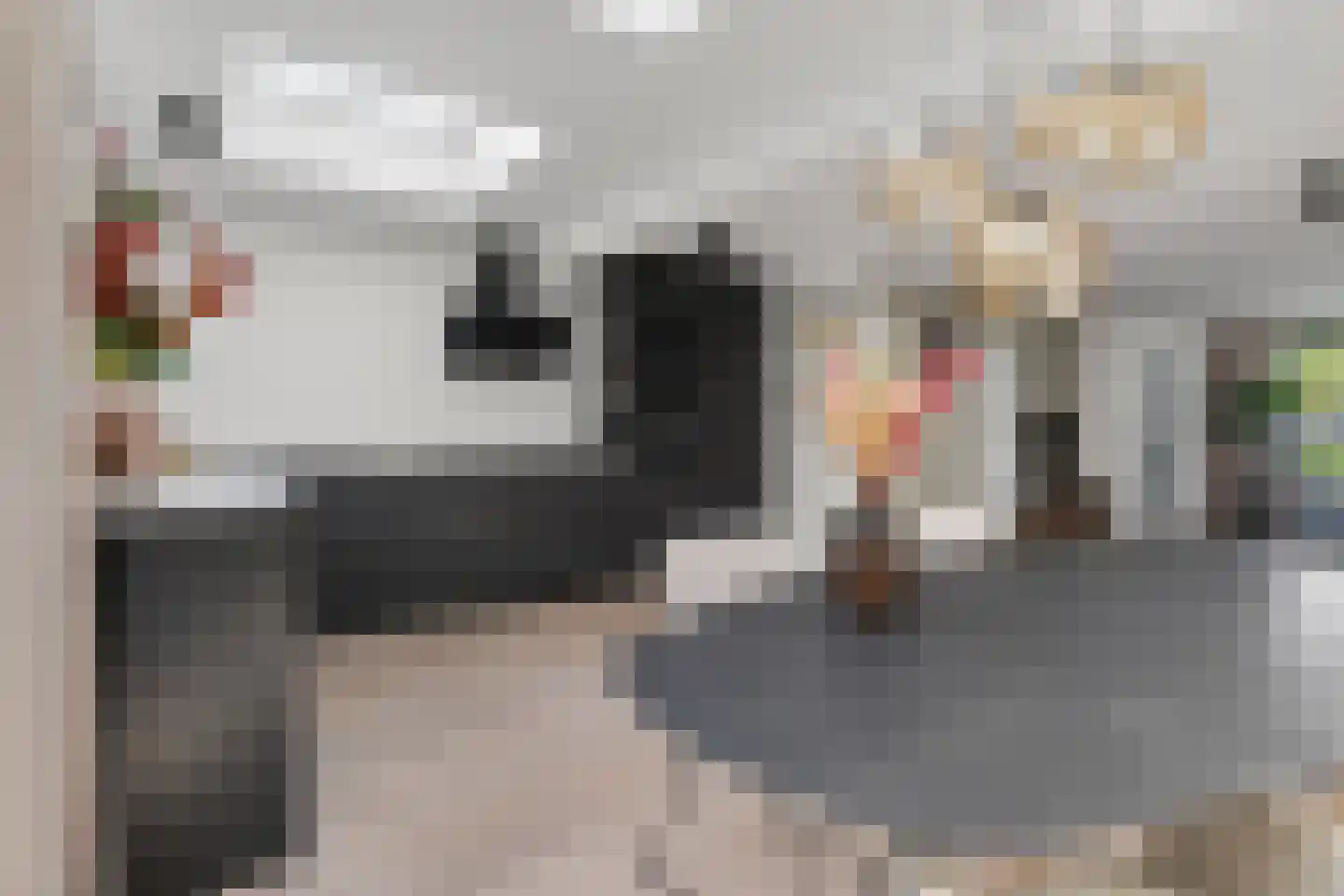 Dollarhof 5 Valkenswaard thumbnail 16