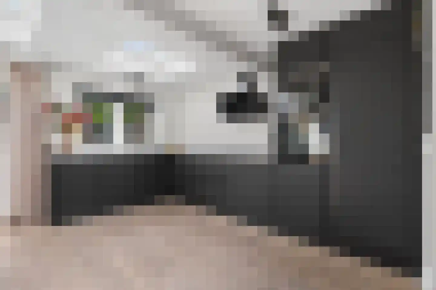 Dollarhof 5 Valkenswaard thumbnail 17