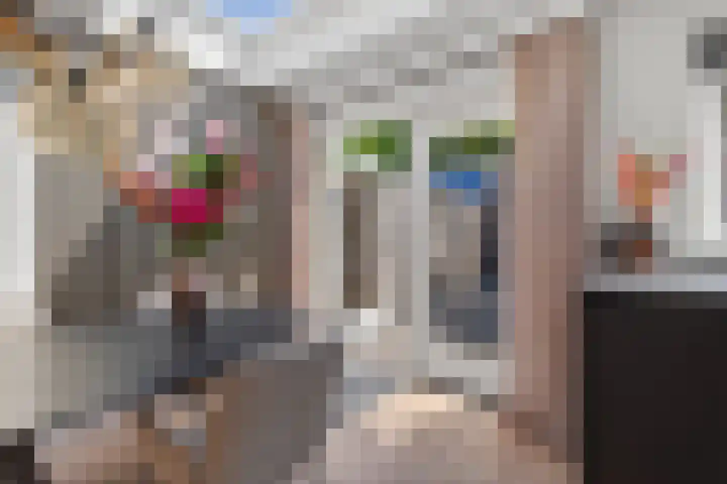 Dollarhof 5 Valkenswaard thumbnail 19