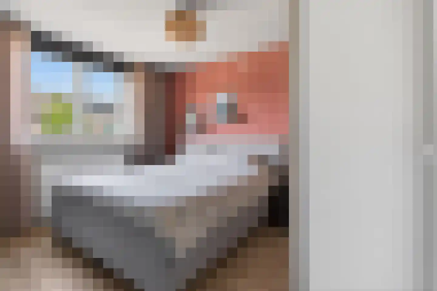 Dollarhof 5 Valkenswaard thumbnail 30