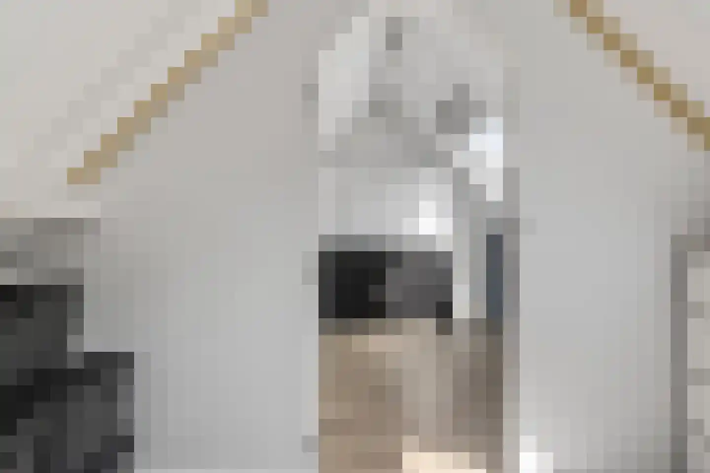 Dollarhof 5 Valkenswaard thumbnail 36