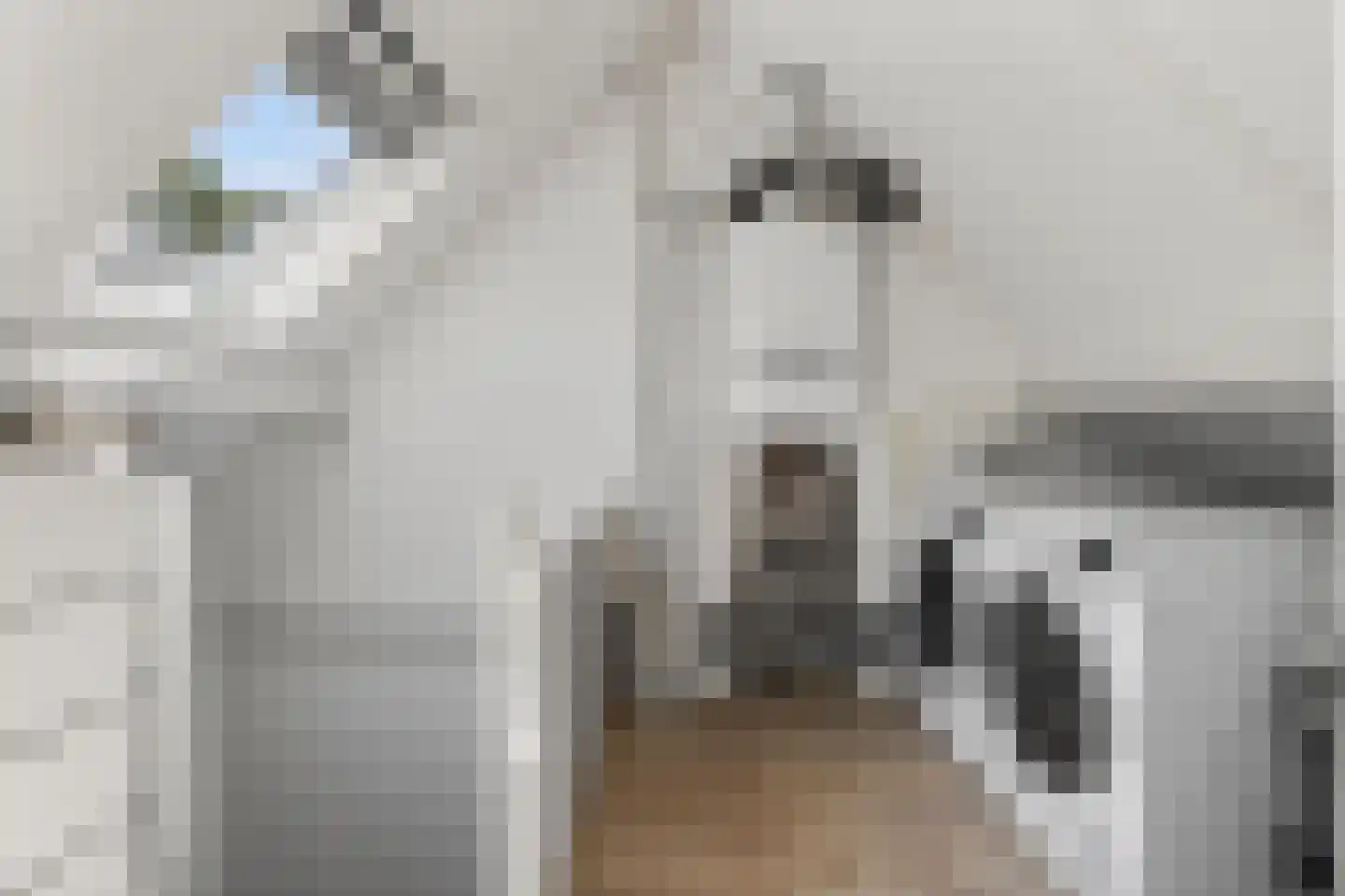 Dollarhof 5 Valkenswaard thumbnail 38
