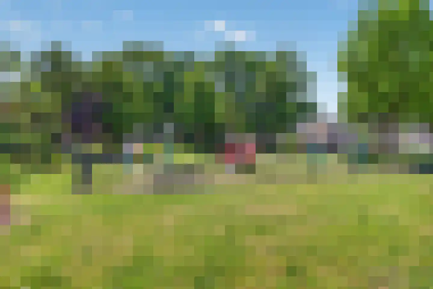 Dollarhof 5 Valkenswaard thumbnail 39