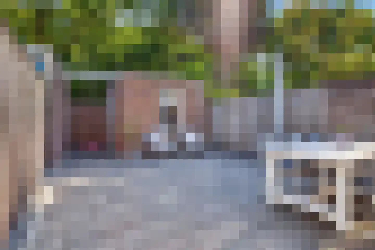 Dollarhof 5 Valkenswaard thumbnail 4
