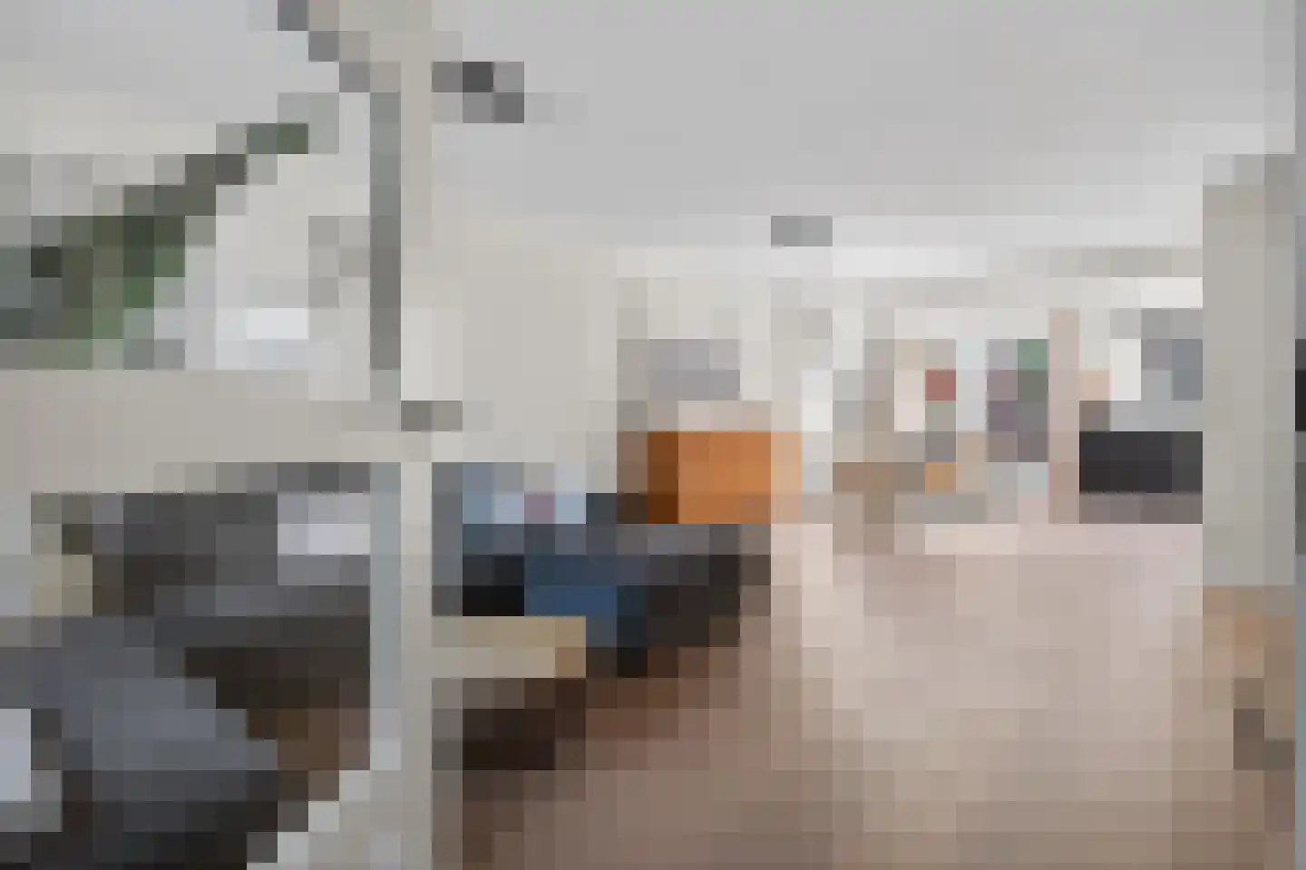 Dollarhof 5 Valkenswaard thumbnail 9