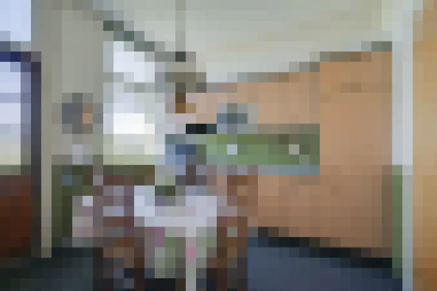 Dollehoedsdijk 15 Barchem thumbnail 19