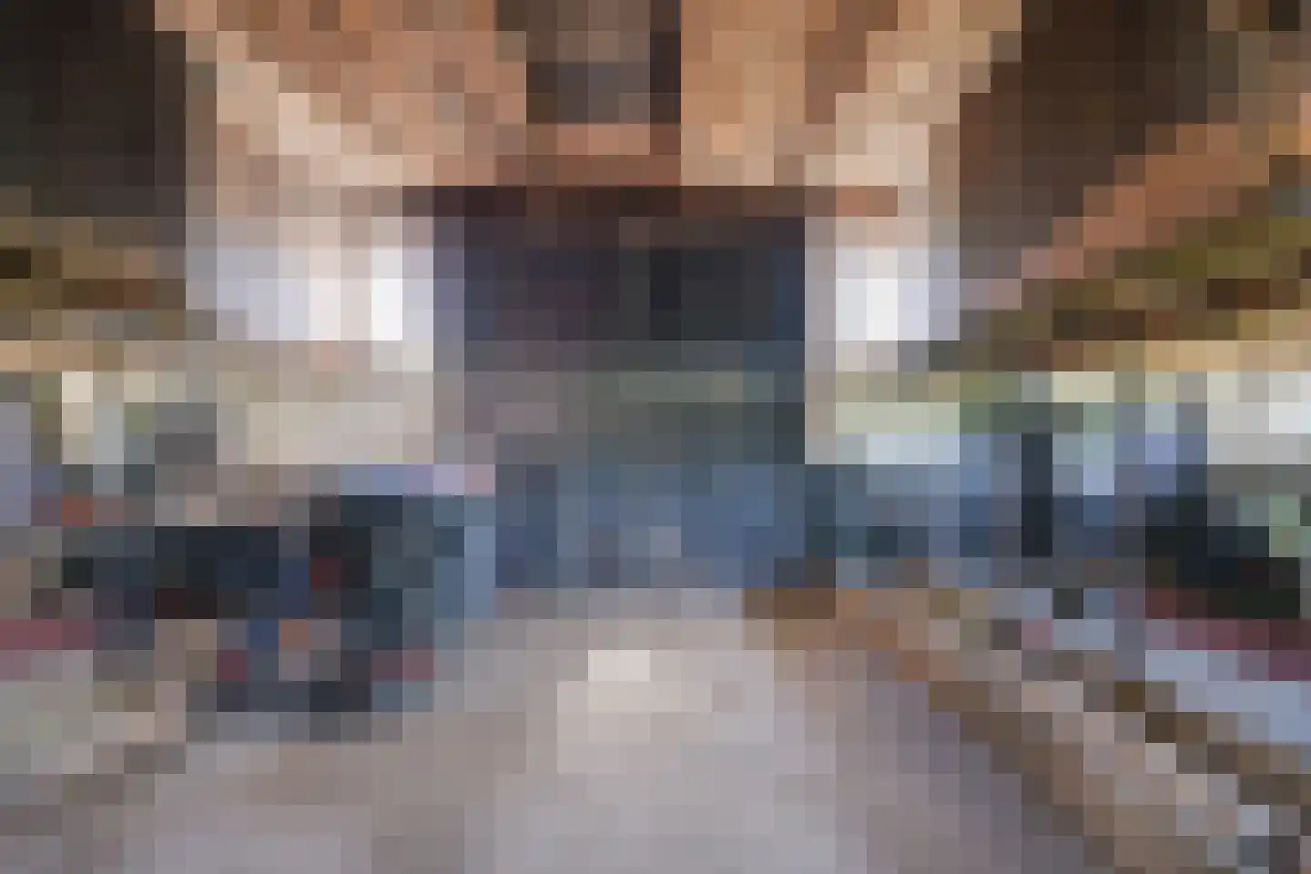 Dollehoedsdijk 15 Barchem thumbnail 20