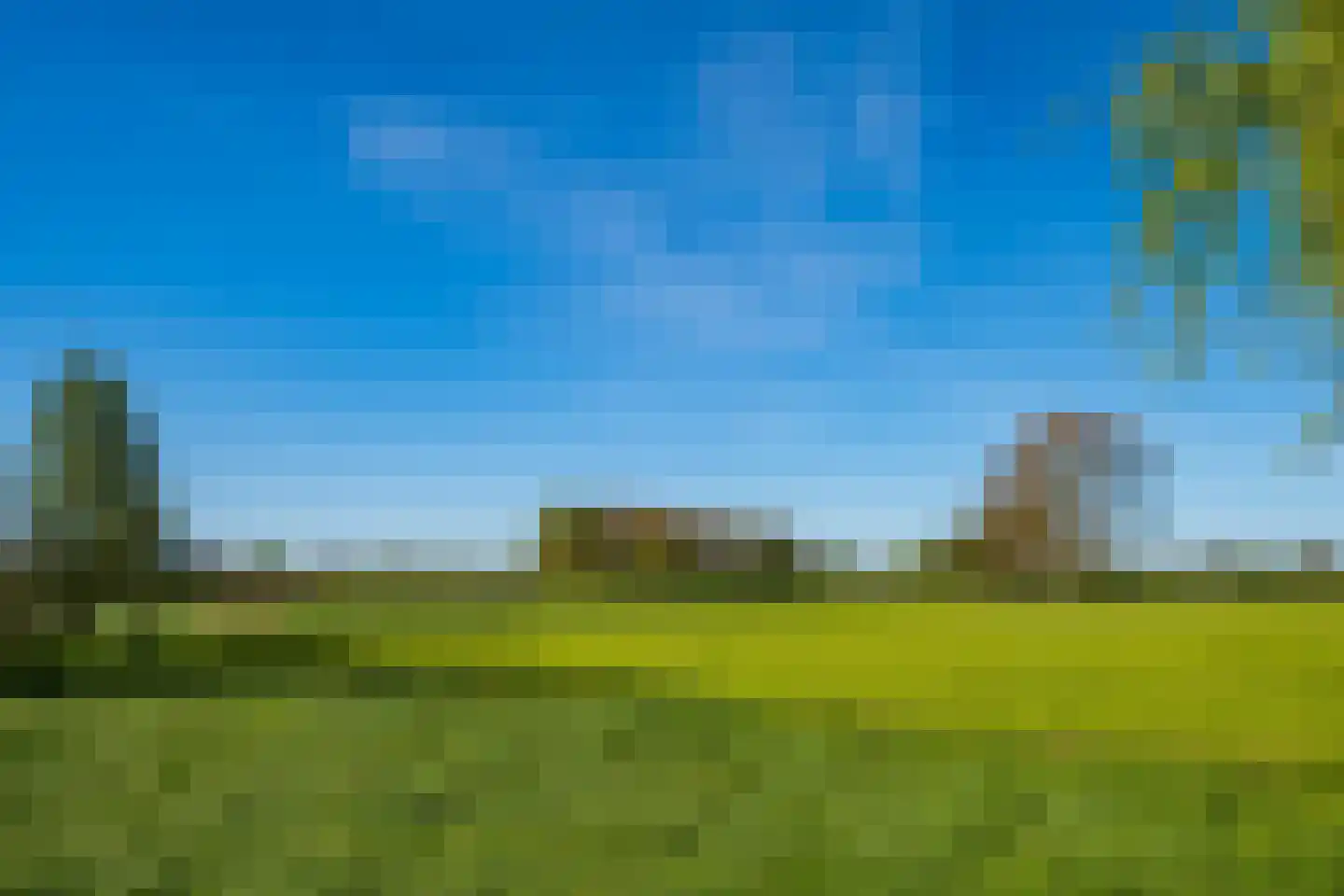 Dollehoedsdijk 15 Barchem thumbnail 34