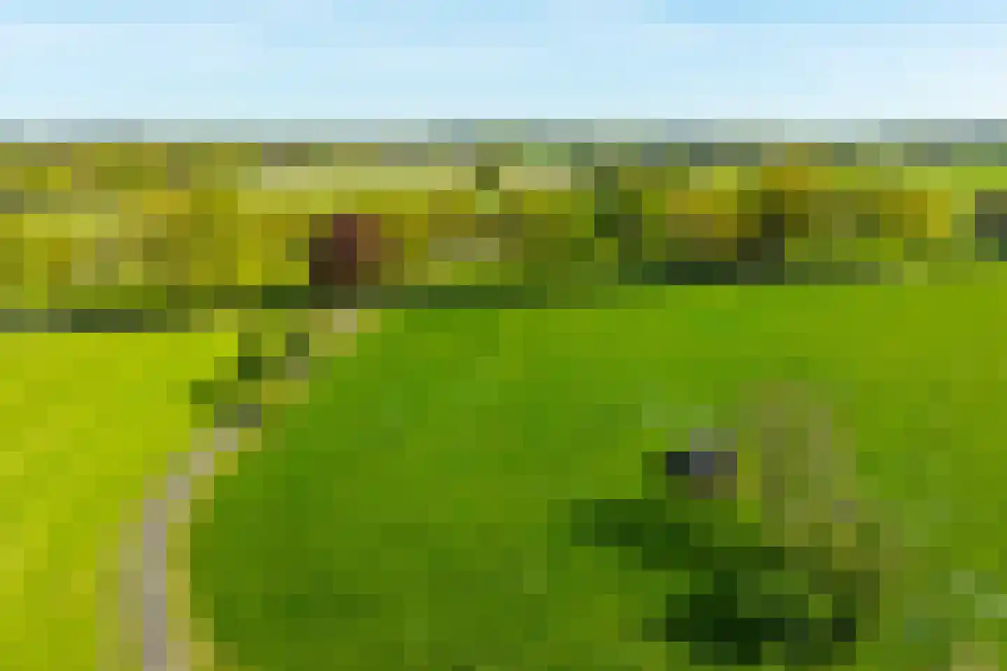 Dollehoedsdijk 15 Barchem thumbnail 4