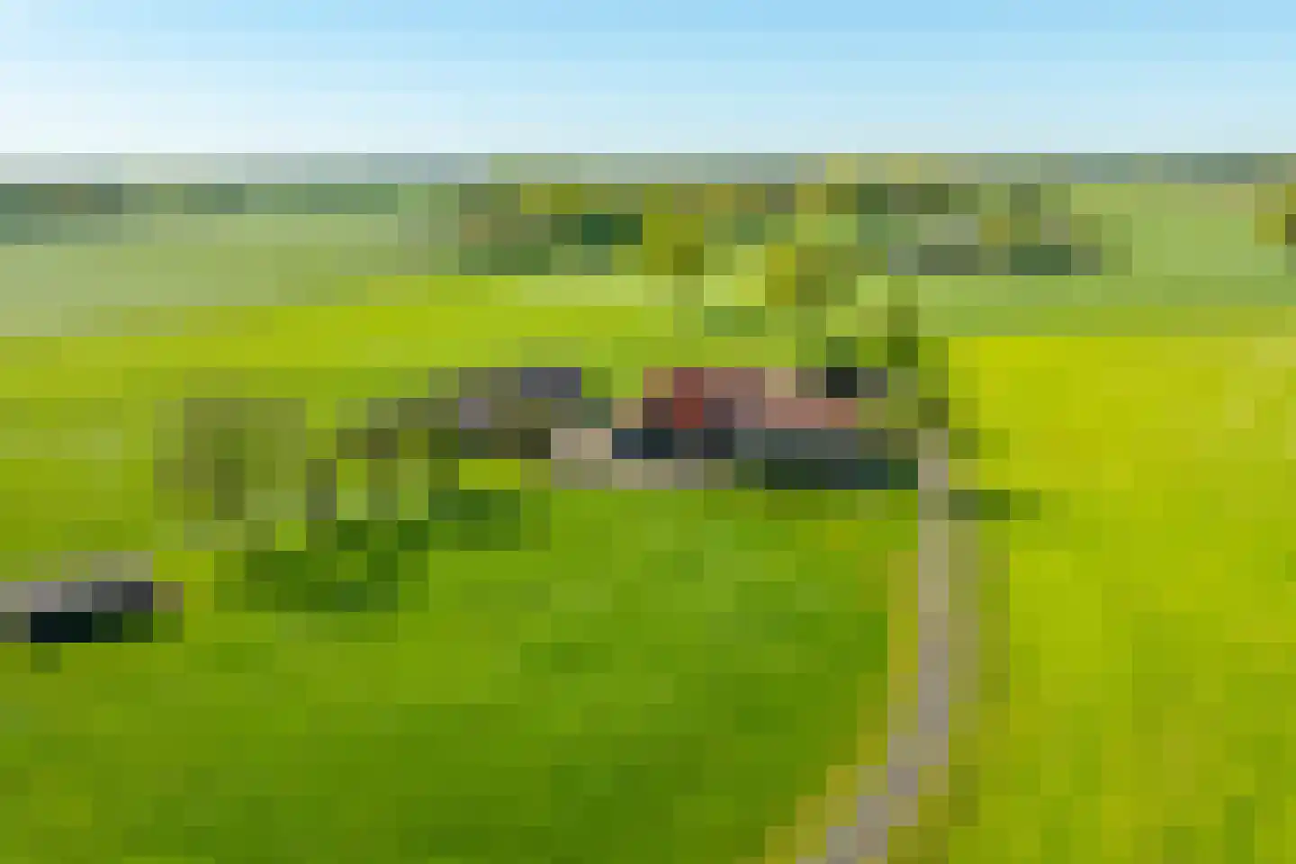 Dollehoedsdijk 15 Barchem thumbnail 5