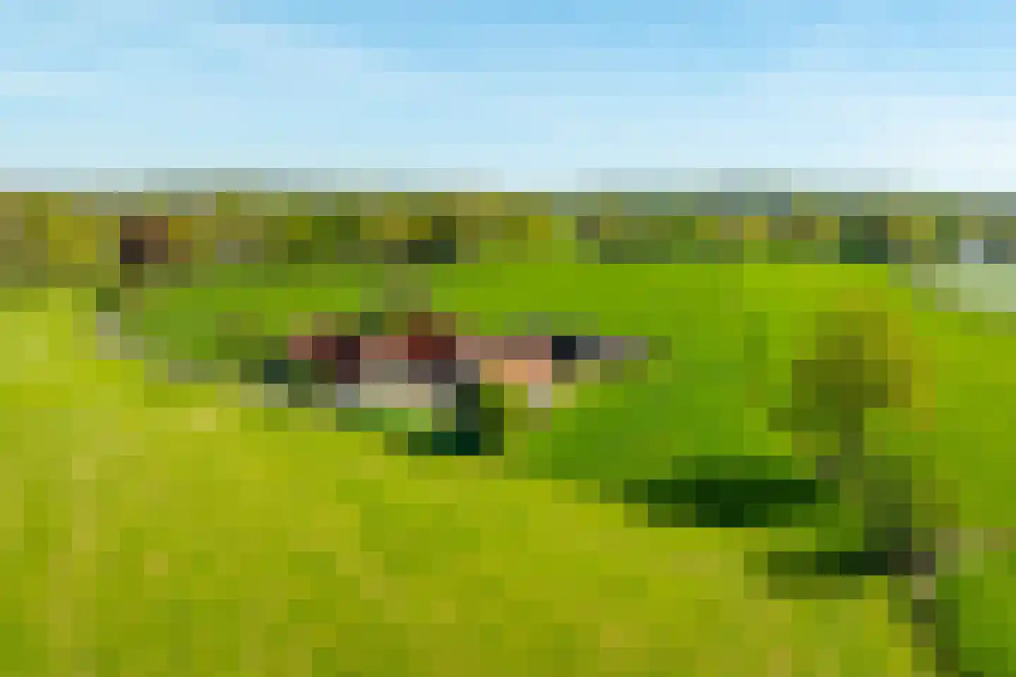 Dollehoedsdijk 15 Barchem thumbnail 8