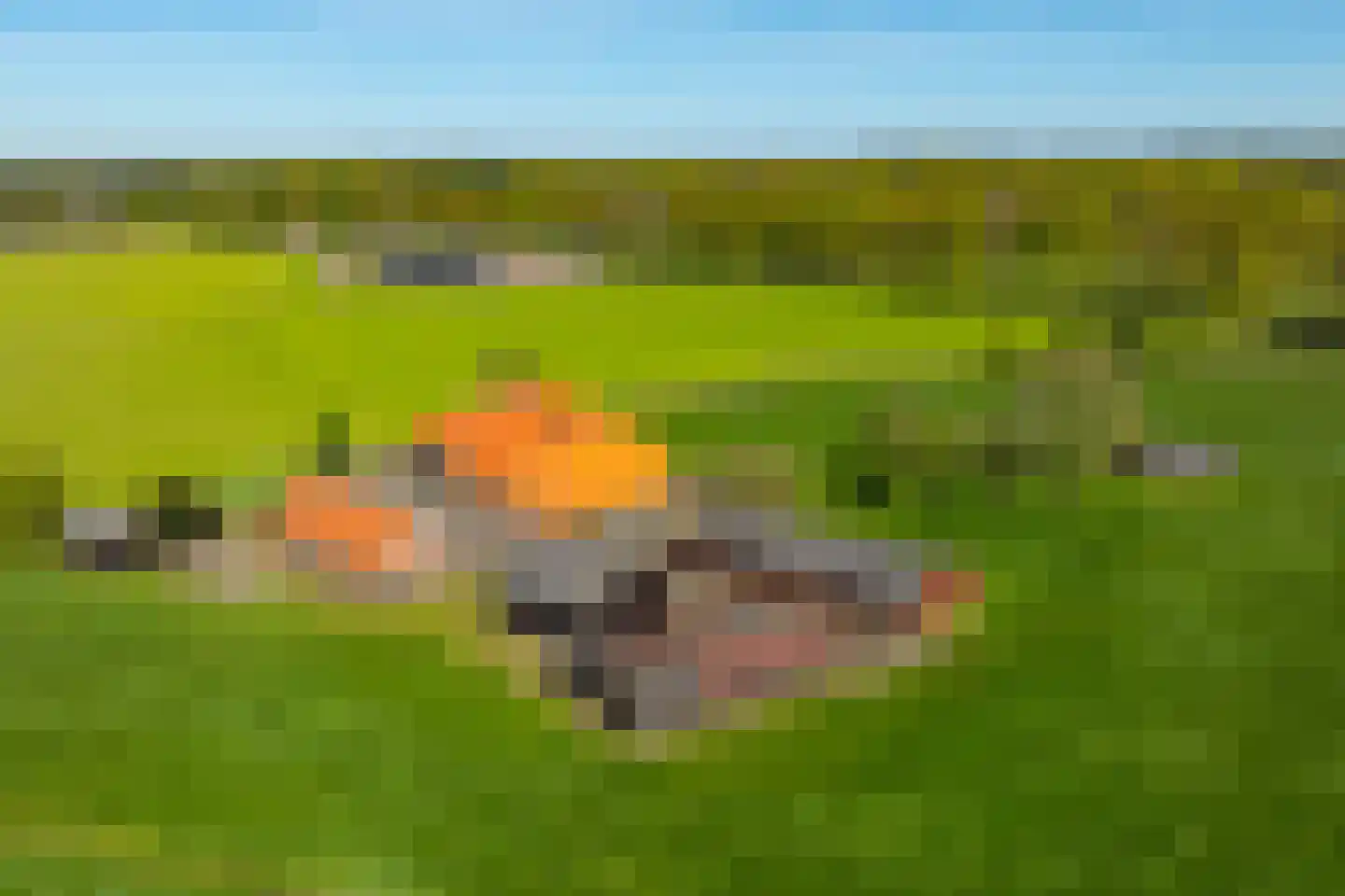 Dollehoedsdijk 15 Barchem thumbnail 9