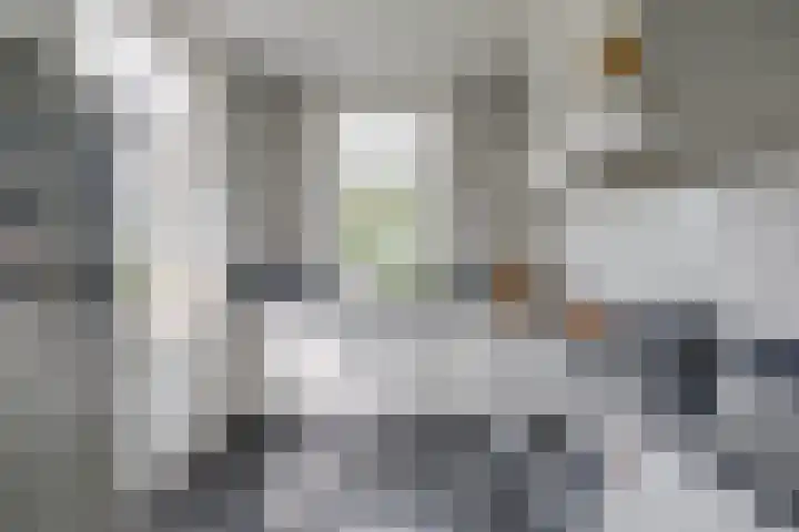 Dollehoedsdijk 9 Barchem thumbnail 10