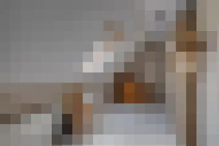 Dollehoedsdijk 9 Barchem thumbnail 17