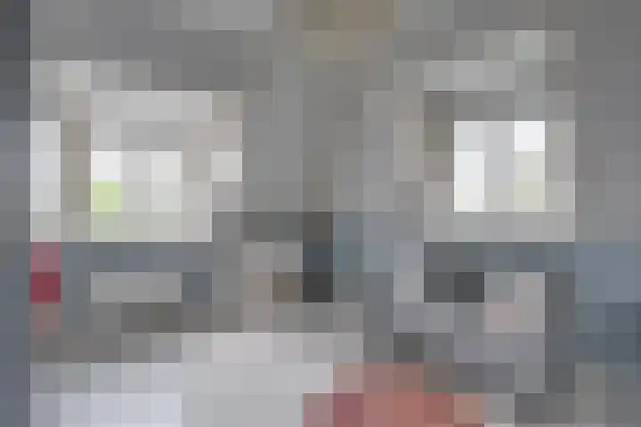 Dollehoedsdijk 9 Barchem thumbnail 18