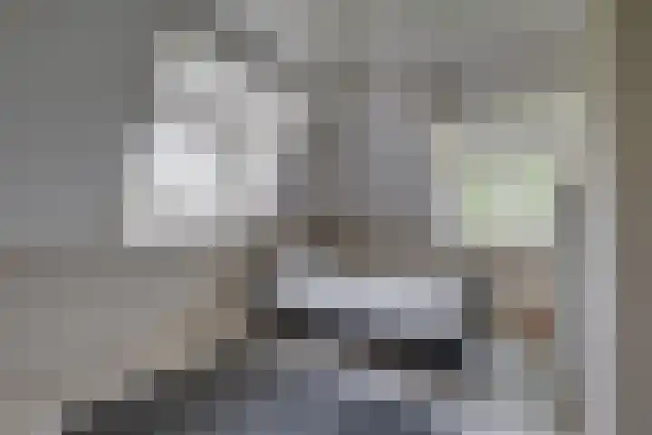 Dollehoedsdijk 9 Barchem thumbnail 19