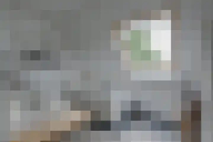 Dollehoedsdijk 9 Barchem thumbnail 20
