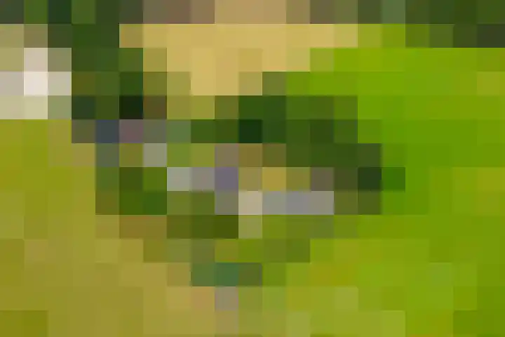 Dollehoedsdijk 9 Barchem thumbnail 23