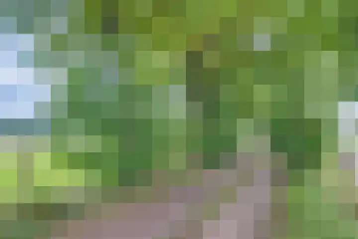 Dollehoedsdijk 9 Barchem thumbnail 24