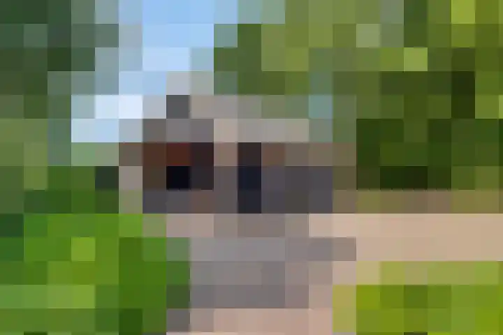 Dollehoedsdijk 9 Barchem thumbnail 25