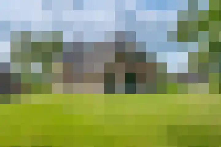 Dollehoedsdijk 9 Barchem thumbnail 26