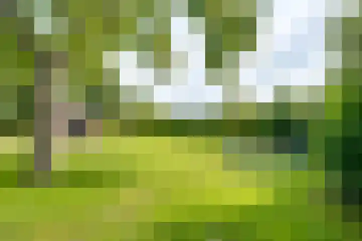 Dollehoedsdijk 9 Barchem thumbnail 28