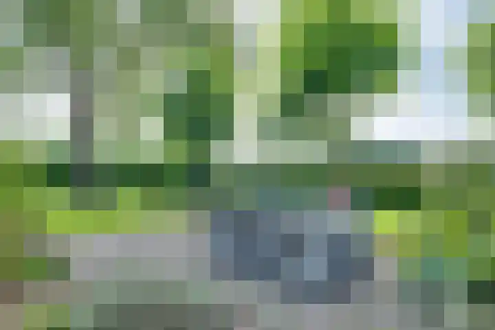 Dollehoedsdijk 9 Barchem thumbnail 30