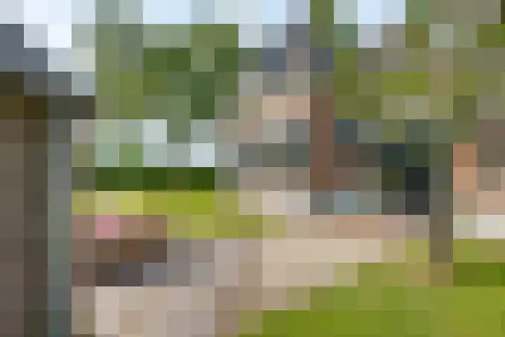 Dollehoedsdijk 9 Barchem thumbnail 31