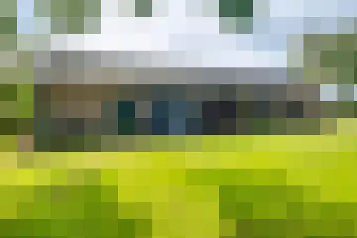 Dollehoedsdijk 9 Barchem thumbnail 33