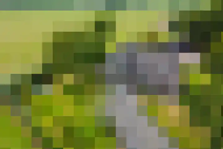 Dollehoedsdijk 9 Barchem thumbnail 34