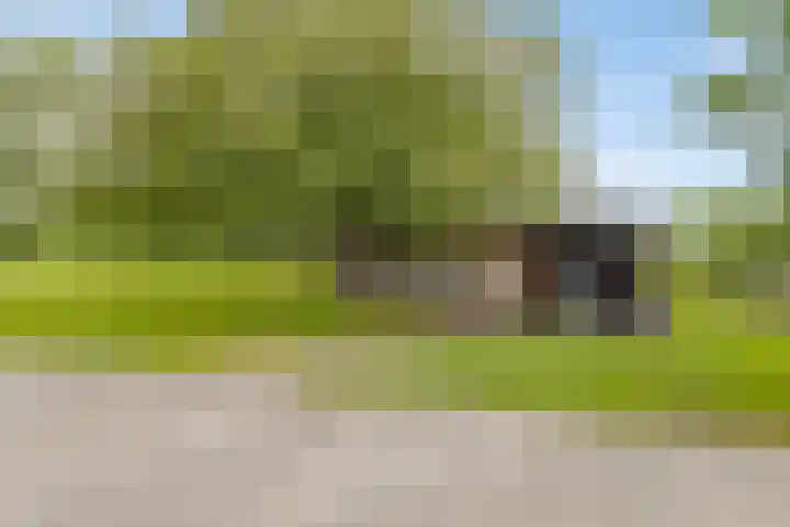 Dollemansstraat 4 Baak thumbnail 15