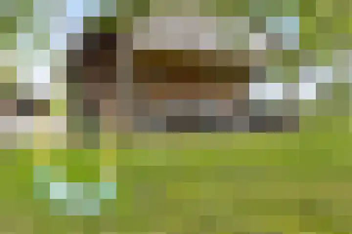Dollemansstraat 4 Baak thumbnail 16